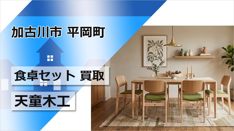 天童木工 ダイニングセット